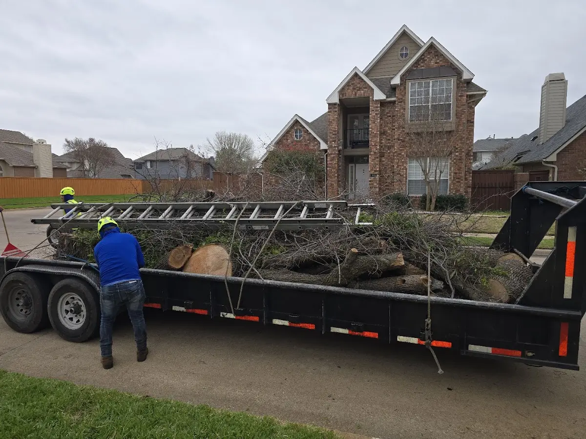 Expert Tree Removal with proper safety equipment in Pleasant Shade